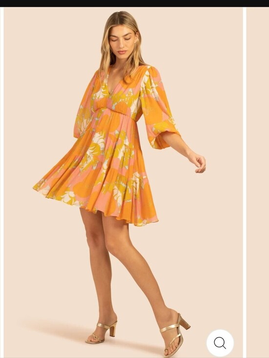 TINA TRUNK Dresses & Skirts - TRINA TURK A LINE CHIFON FEMININE DRESS V NECK LONG SHEER SLEEVE SZ large
